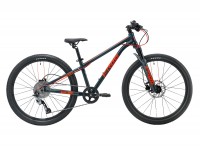 24" MTB Frog62