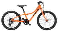 Naloo Chameleon 20"