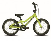 Conway 16" MS160