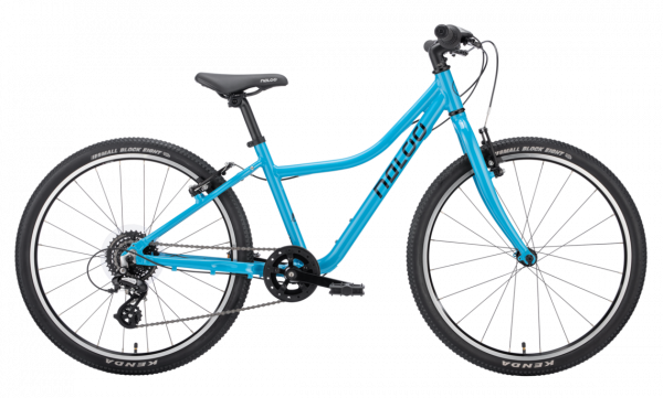 Naloo Chameleon 24"