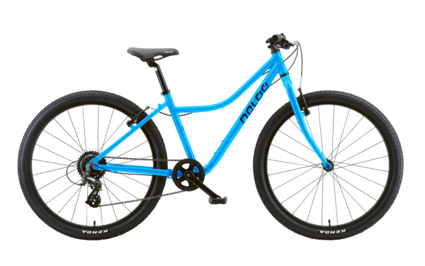 Naloo Chameleon 26"